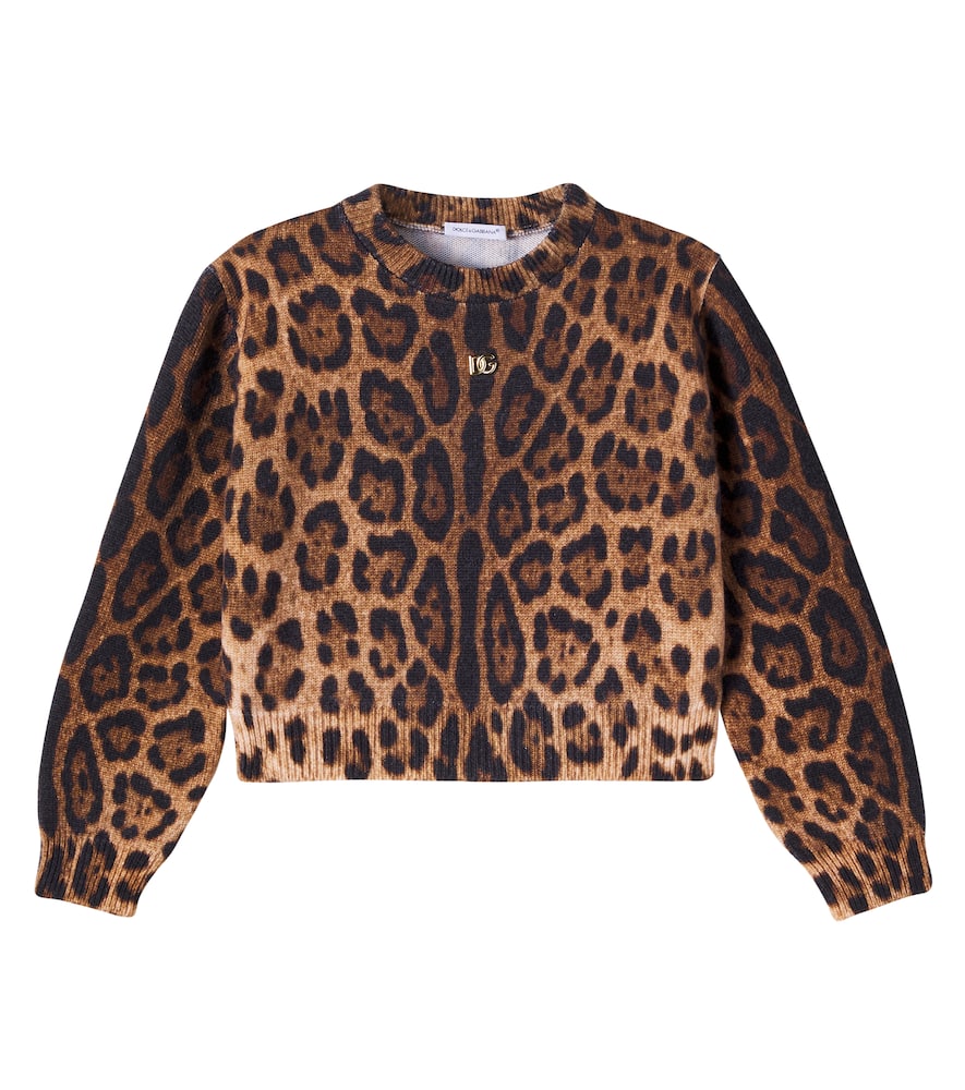 Dolce & Gabbana Leopard-print Crew-neck Pullover In Brown
