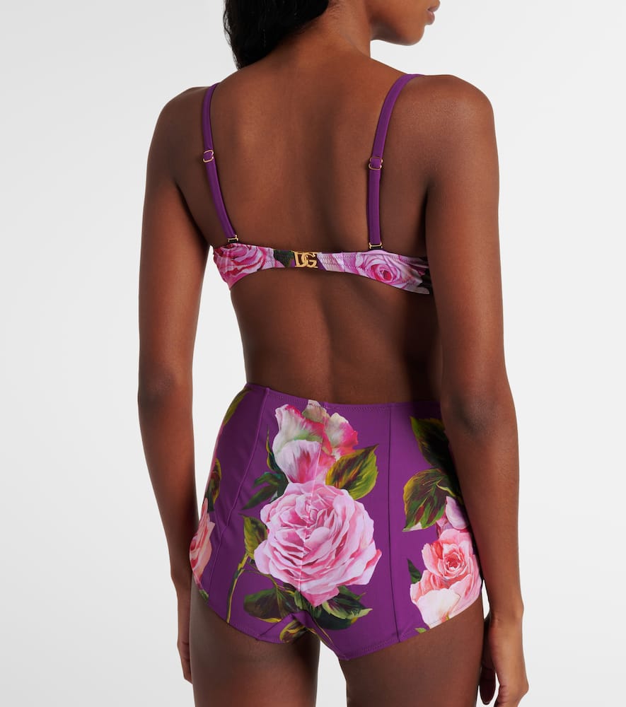 Dolce & Gabbana Rose-print Balconette Bikini Top And High-waisted Bottoms In Purple