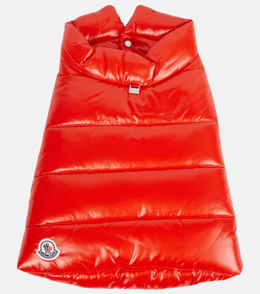 Moncler Moncler Poldo Dog Couture dog coat