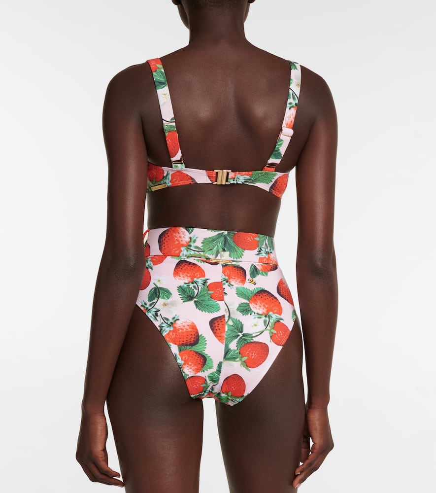 Shop Alexandra Miro Ursula Printed Bikini Bottoms In Berry Prt