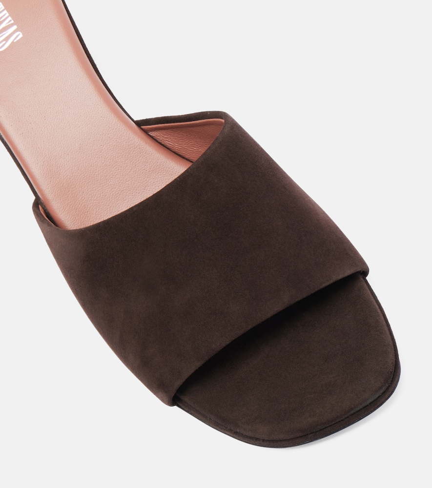 Ava Mules