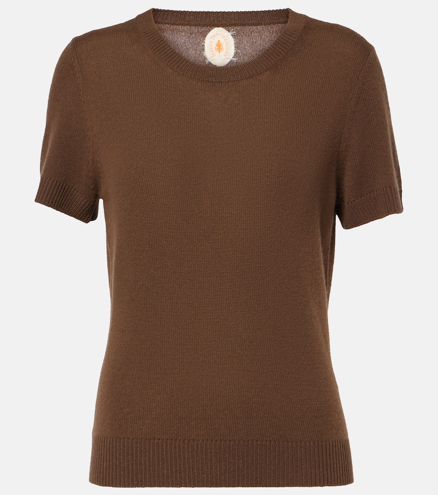 Jardin Des Orangers Knitted Cashmere T-shirt In Brown