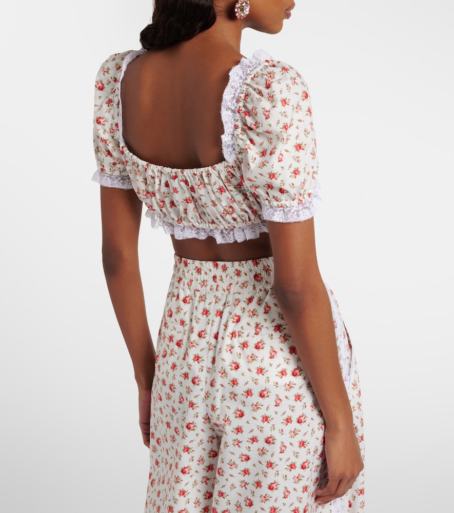 Dolce&Gabbana Floral Lace-Trimmed Cotton Poplin Crop Top