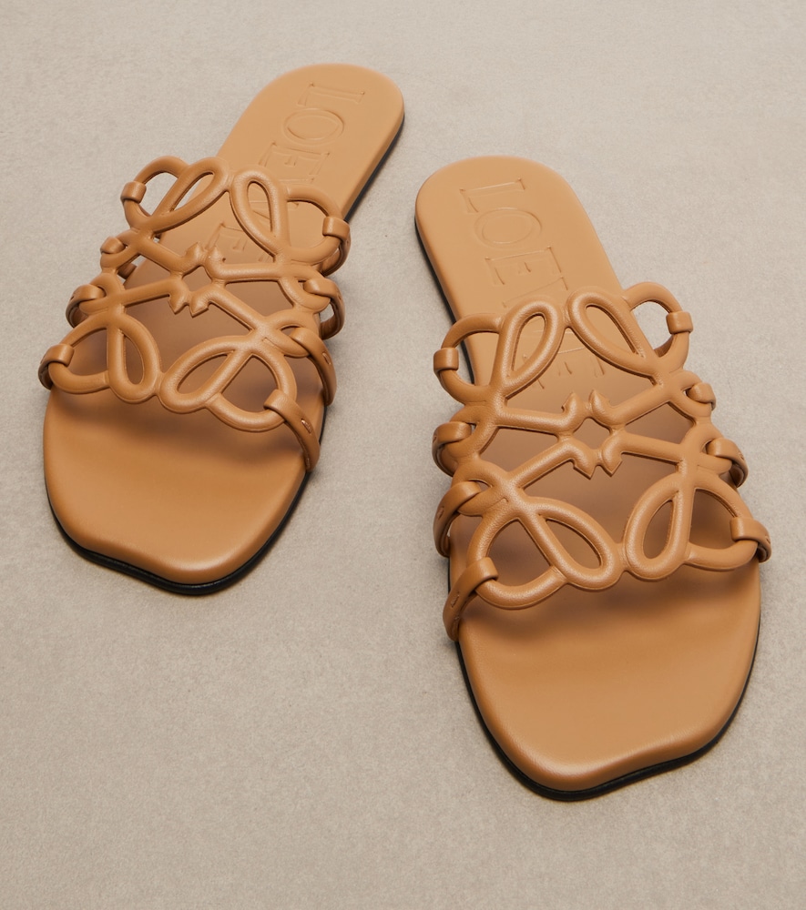Paula'S Ibiza Petal Anagram Slides