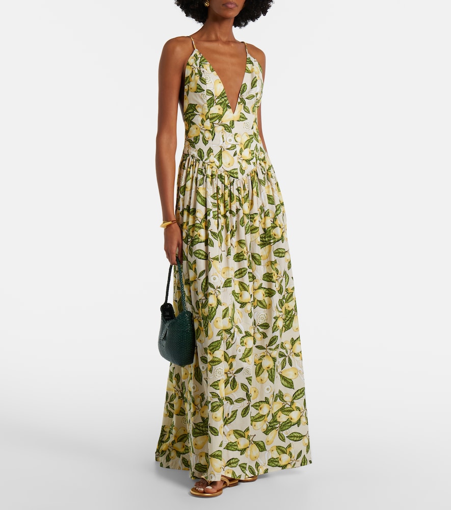 Adriana Degreas Printed cotton-blend maxi dress