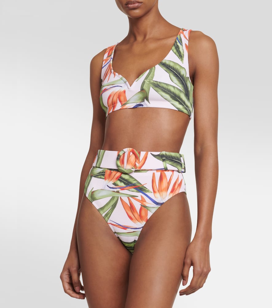 Shop Alexandra Miro Ursula Bikini Bottoms In Bird Of Paradise Print