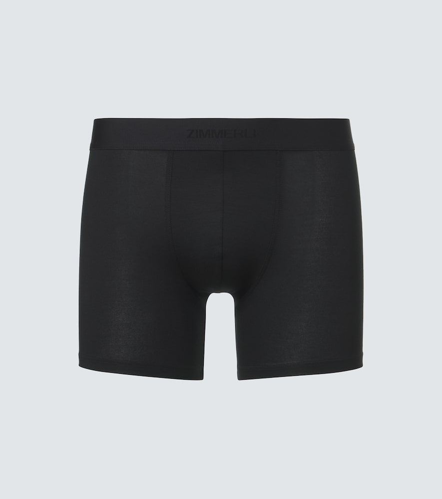 Jersey Boxer
