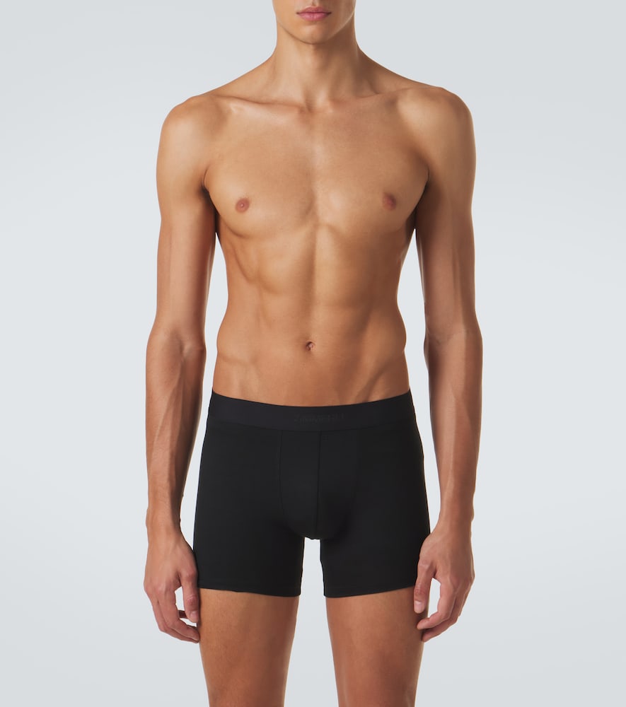 Jersey Boxer