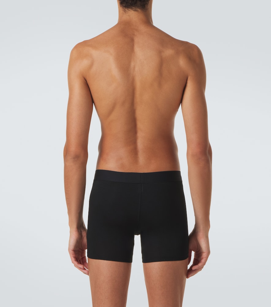 Jersey Boxer