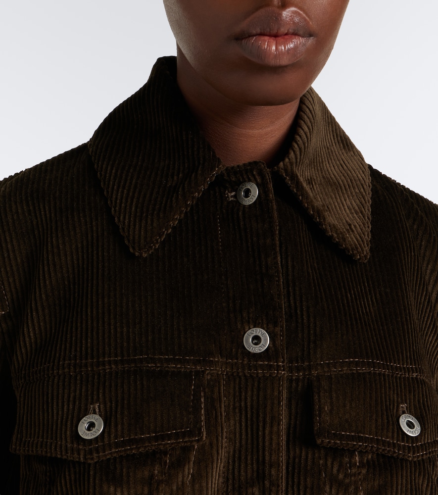 Cotton Corduroy Blouson Jacket
