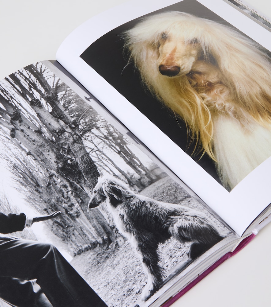  Assouline Assouline Coffee Table Book Chic Dogs 