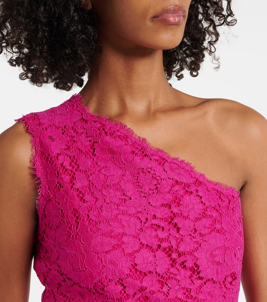 Dolce & Gabbana Floral Cotton-blend Lace Minidress In Pink