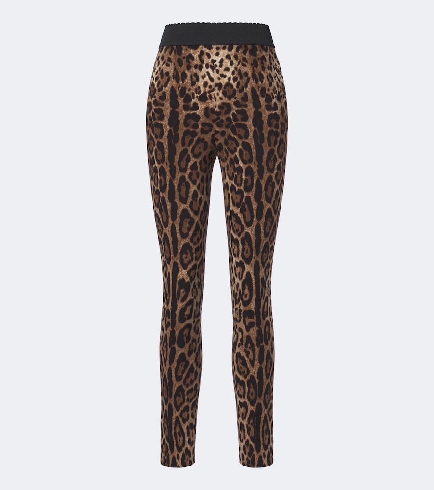 Dolce & Gabbana Leopard-print Leggings In Brown