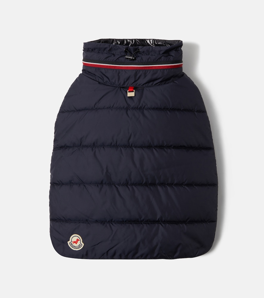 Moncler Poldo Dog Couture dog coat