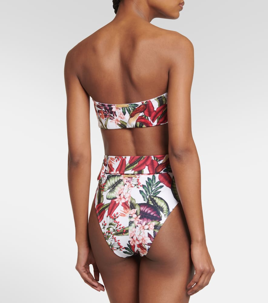 Shop Alexandra Miro Ursula Printed Bikini Bottoms In Tropical Print