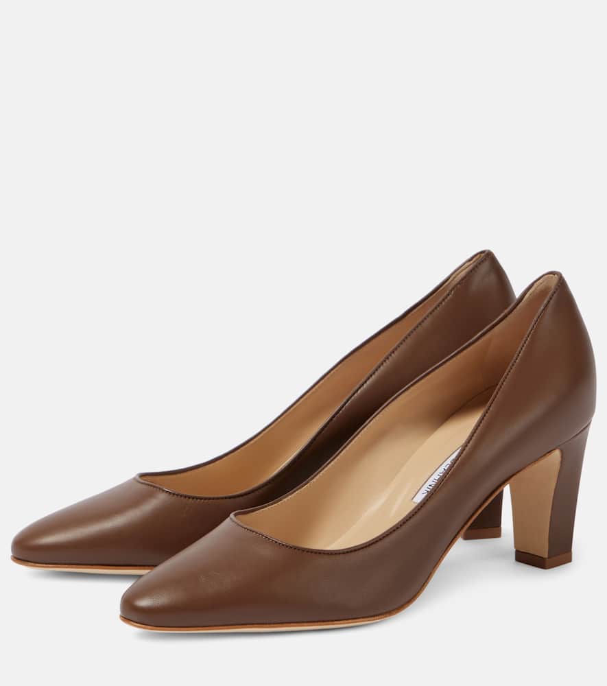 Manolo Blahnik Skiotto Leather Pumps In Brown