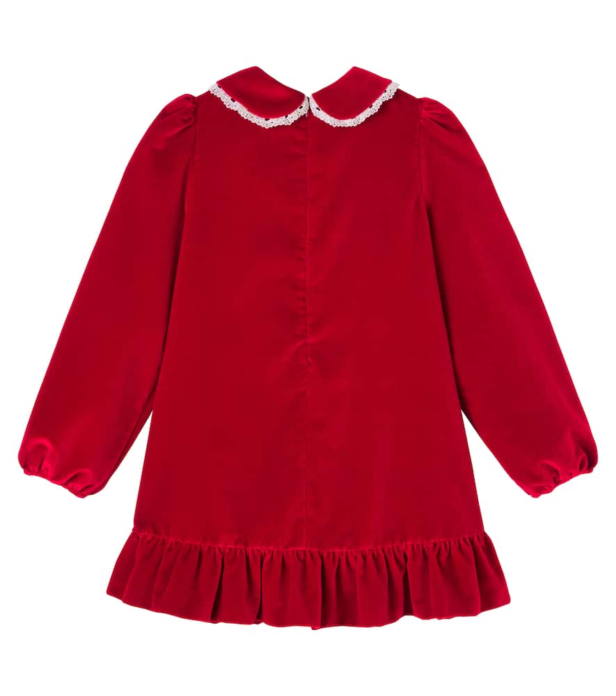Dolce & Gabbana Dg Lace-trimmed Cotton Velvet Dress In Red