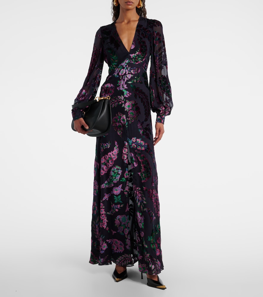 Etro Embroidered sheer gown