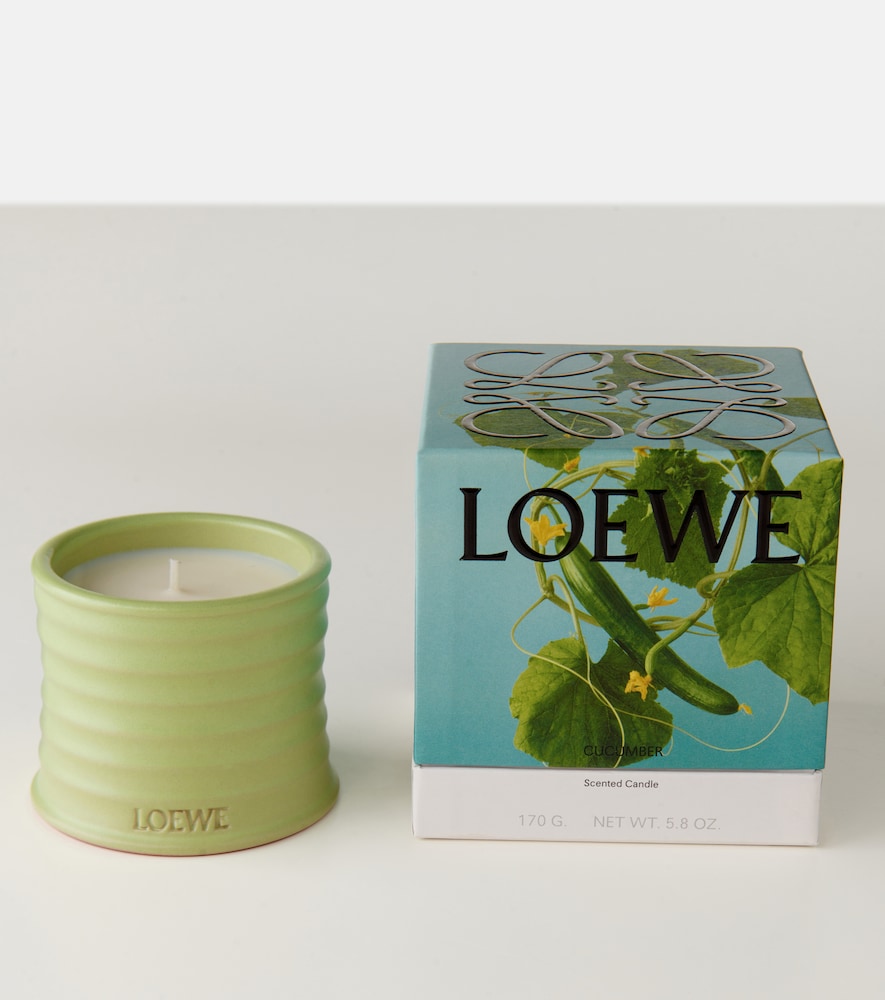  Loewe Home Scents Loewe Home Scents Duftkerze Cucumber Small 