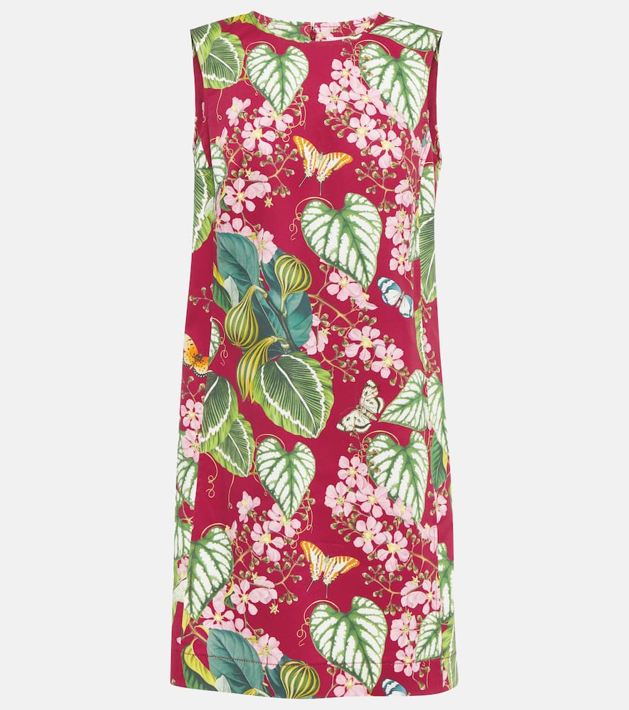 Oscar de la Renta Floral cotton-blend minidress