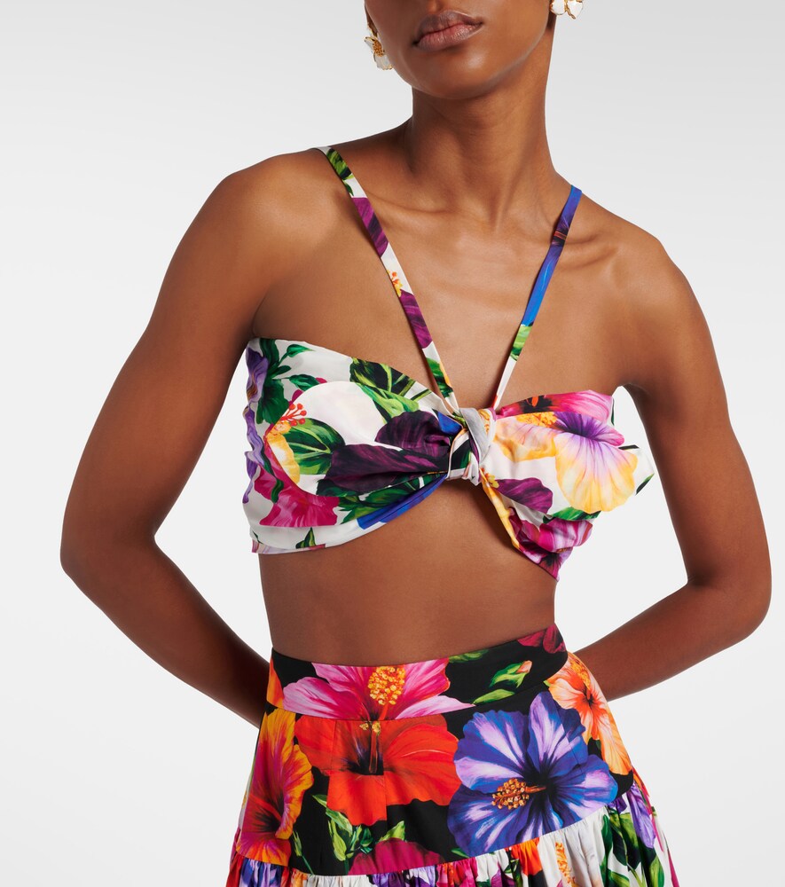 Dolce & Gabbana Bow-detail floral cotton bra top