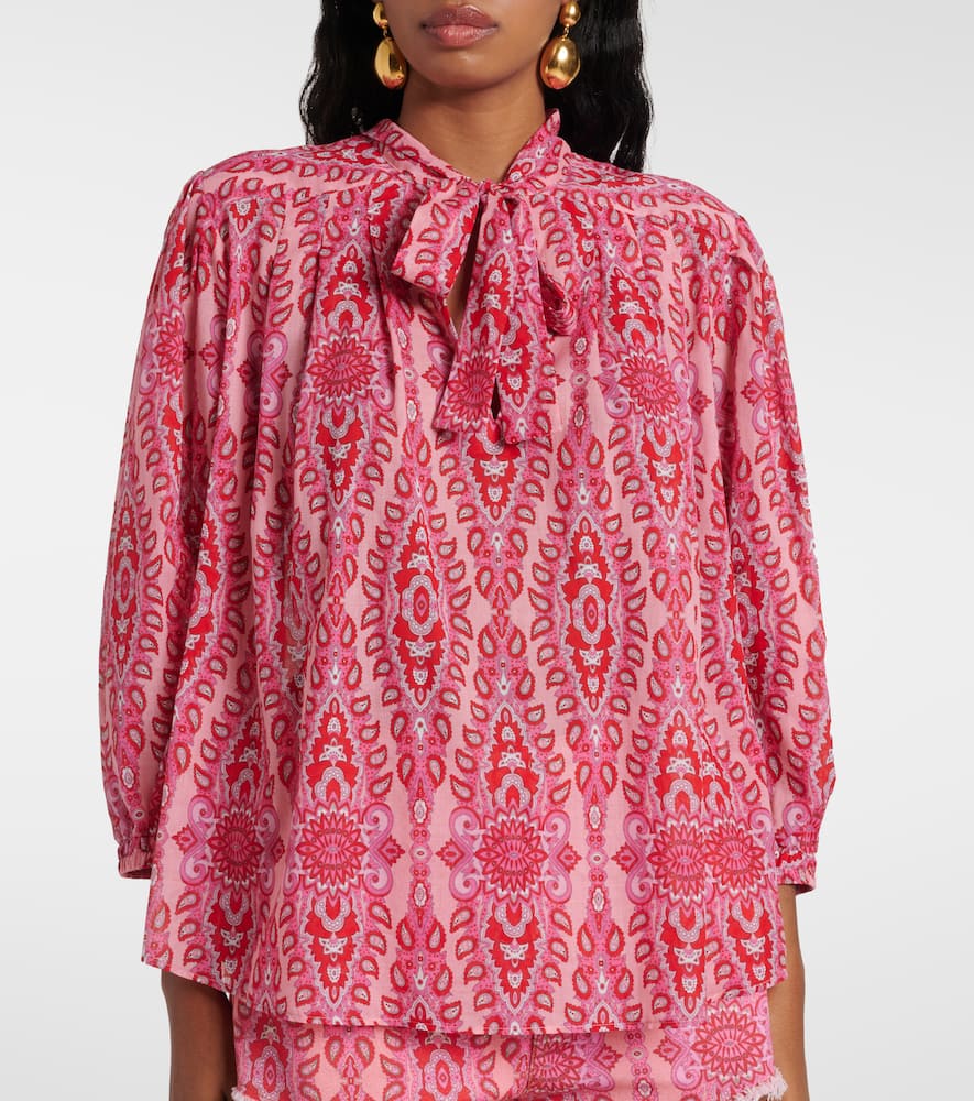Etro Neck-tie Long-sleeved Blouse In Brown