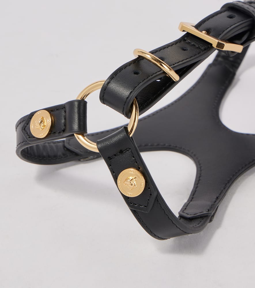 Leather dog harness