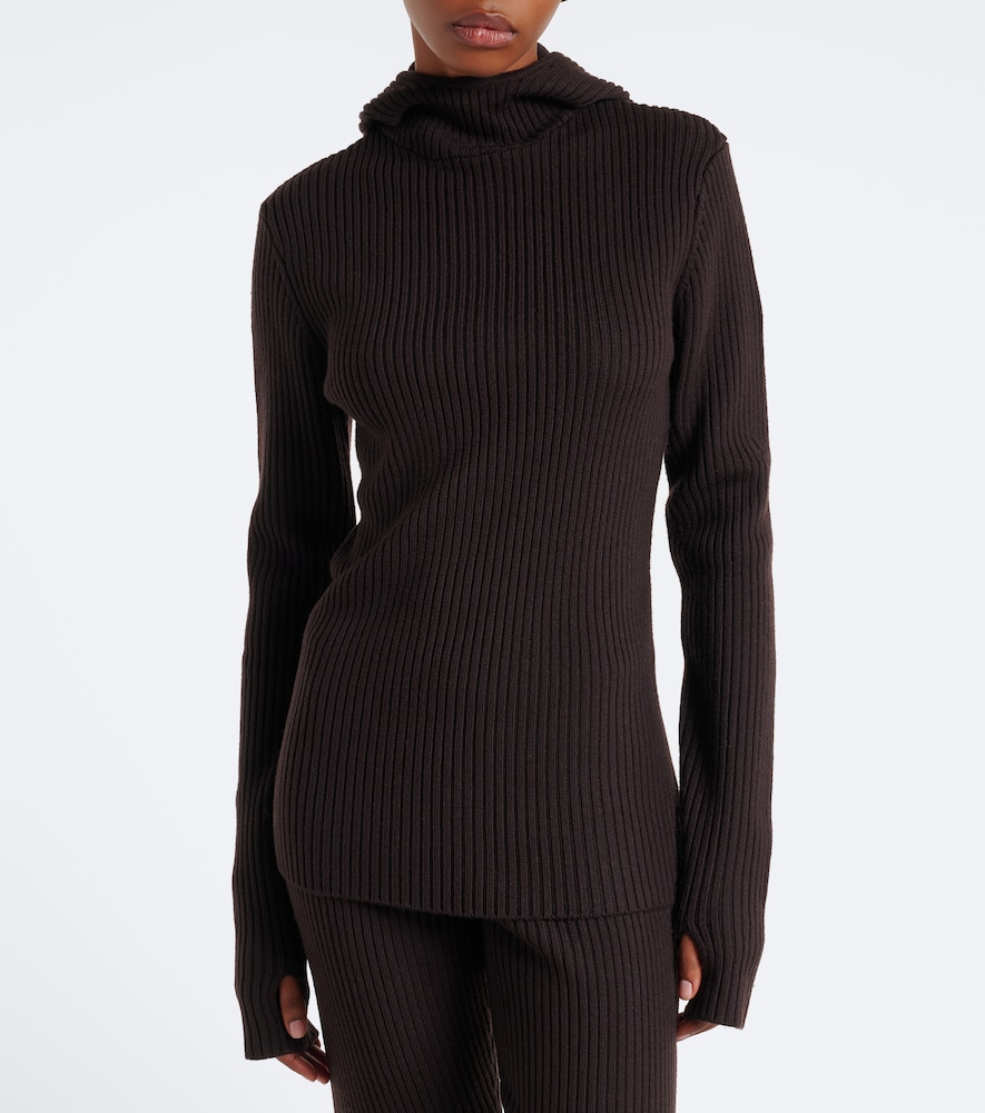 Larice Ribbed-Knit Hooded Sweater