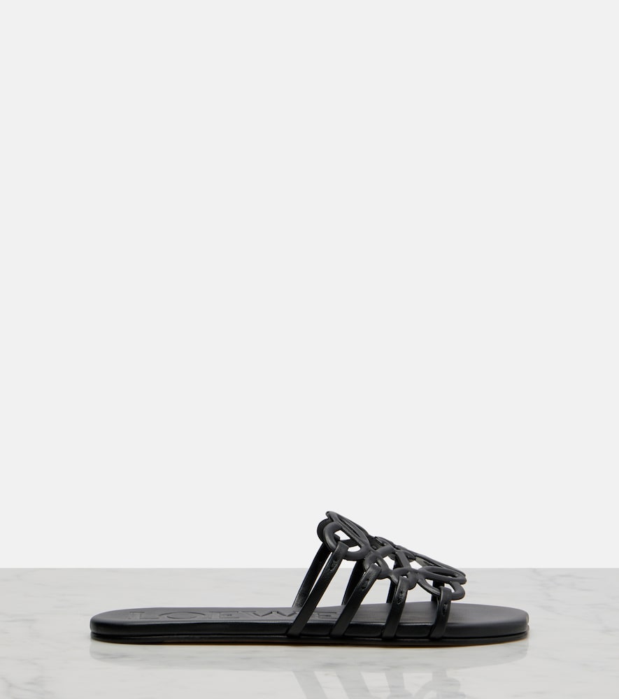 Paula'S Ibiza Petal Anagram Slides