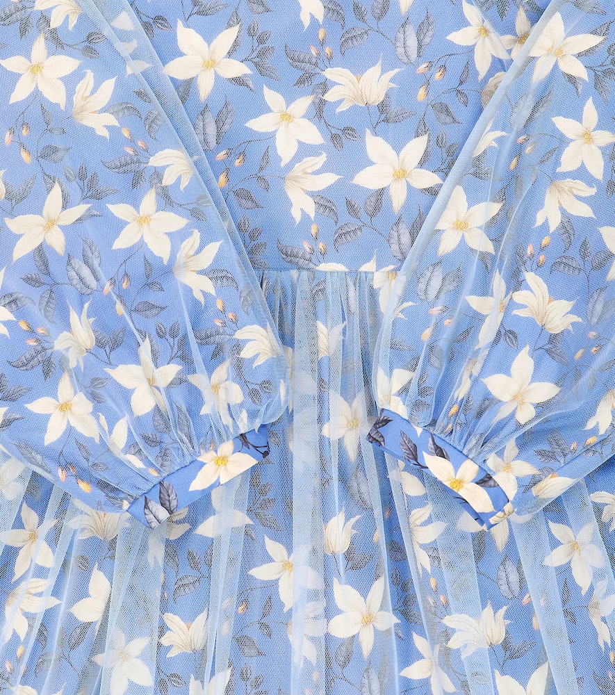 Paade Mode Floral Tulle Dress In Blue