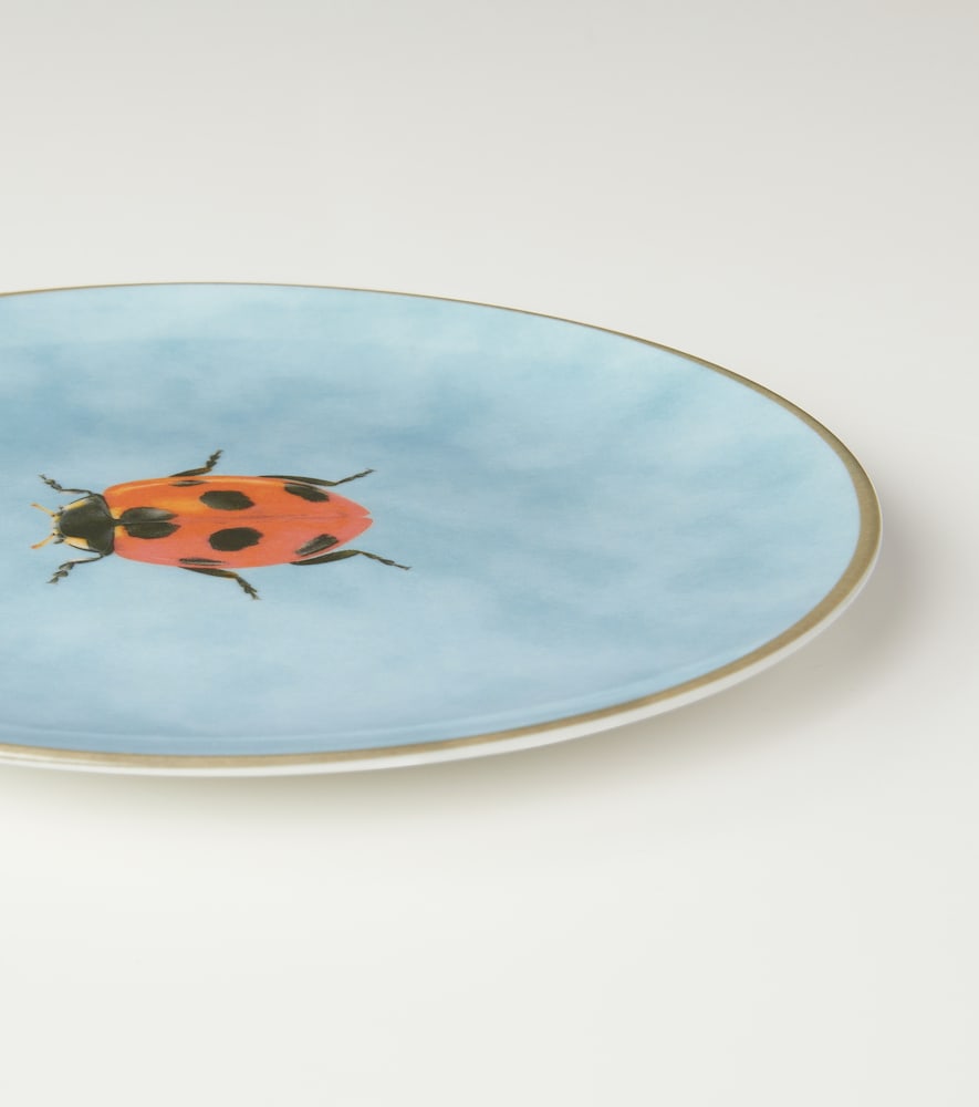 Les-ottomans Les-ottomans Plato Insetti Ladybug 