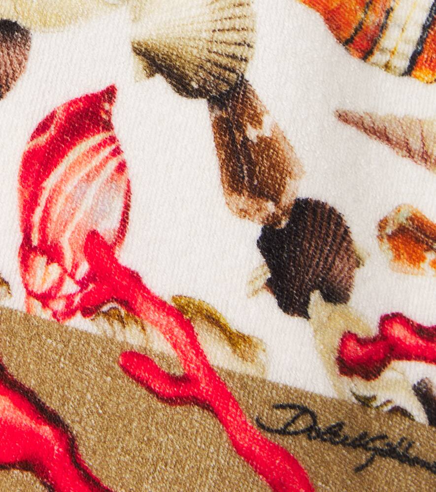 Dolce & Gabbana Coral-print Bermuda Shorts In Multi