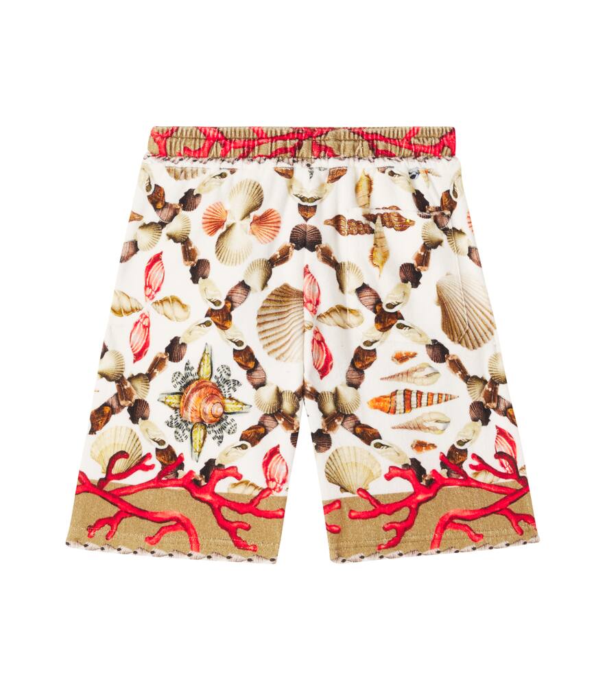 Dolce & Gabbana Coral-print Bermuda Shorts In Multi