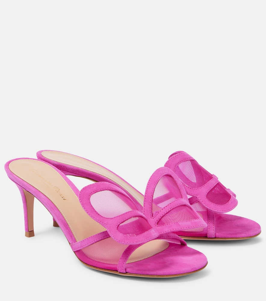 Gianvito Rossi Ilia 70 Mesh Mules In Pink