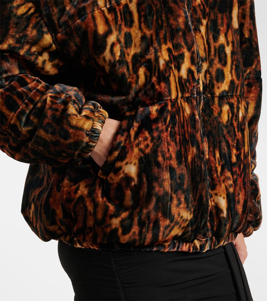 Isabel Marant Delima Leopard-print Bomber Jacket In Brown
