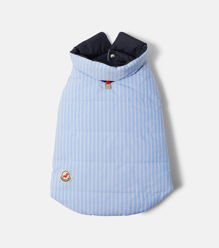Moncler Poldo Dog Couture striped dog coat