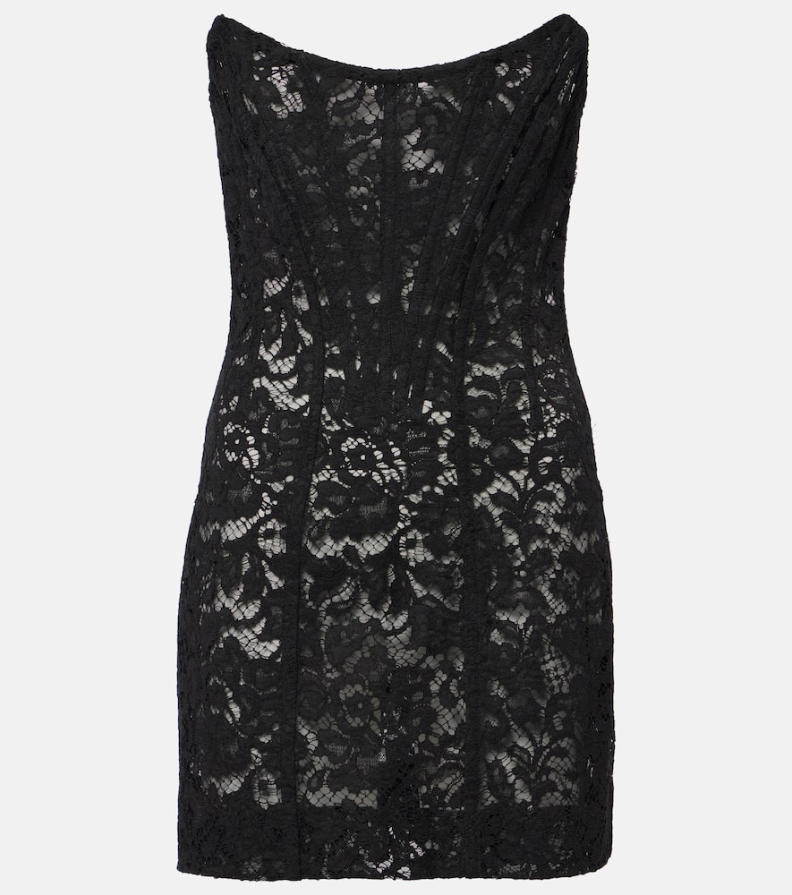 Dolce & Gabbana Floral Cotton-blend Lace Minidress In Black