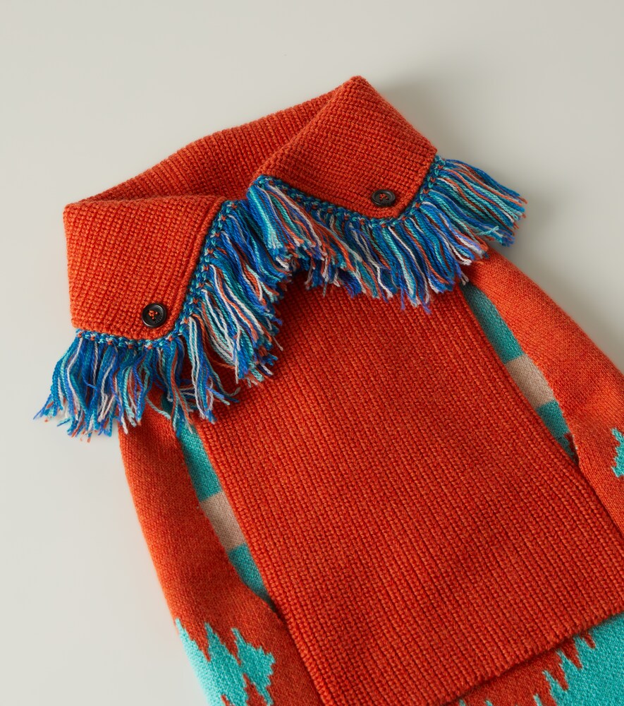 Alanui x Poldo Dog Couture dog sweater