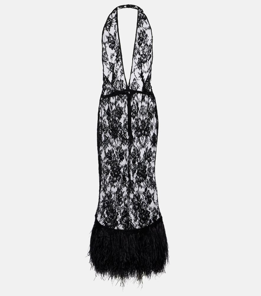 Dolce & Gabbana Feather-trimmed Floral Lace Midi Dress In Black