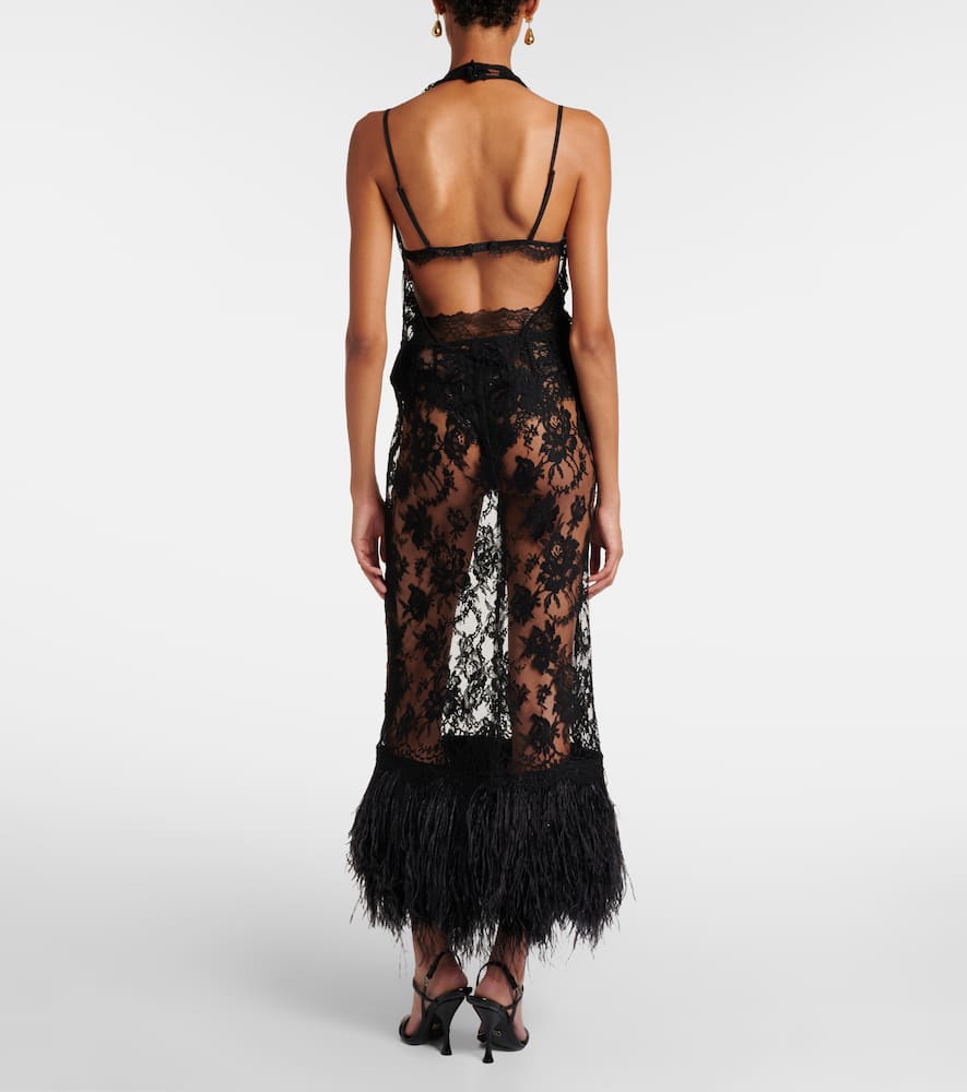 Dolce & Gabbana Feather-trimmed Floral Lace Midi Dress In Black