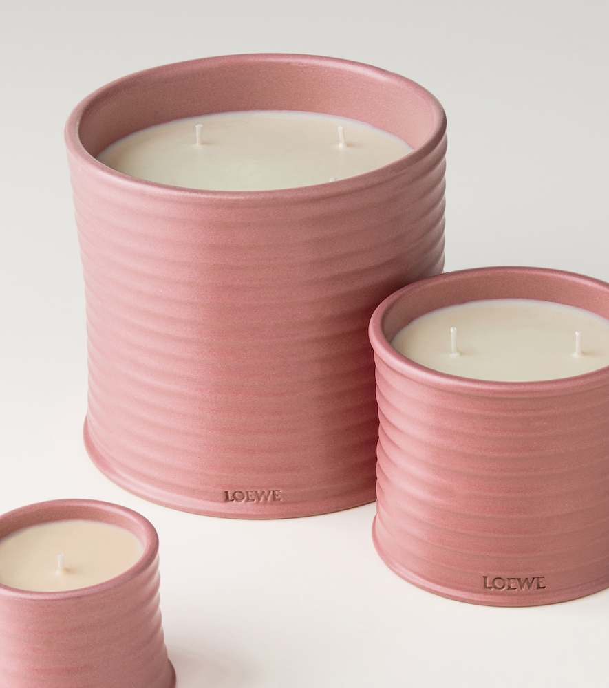  Loewe Home Scents Loewe Home Scents Ivy Small Candle 