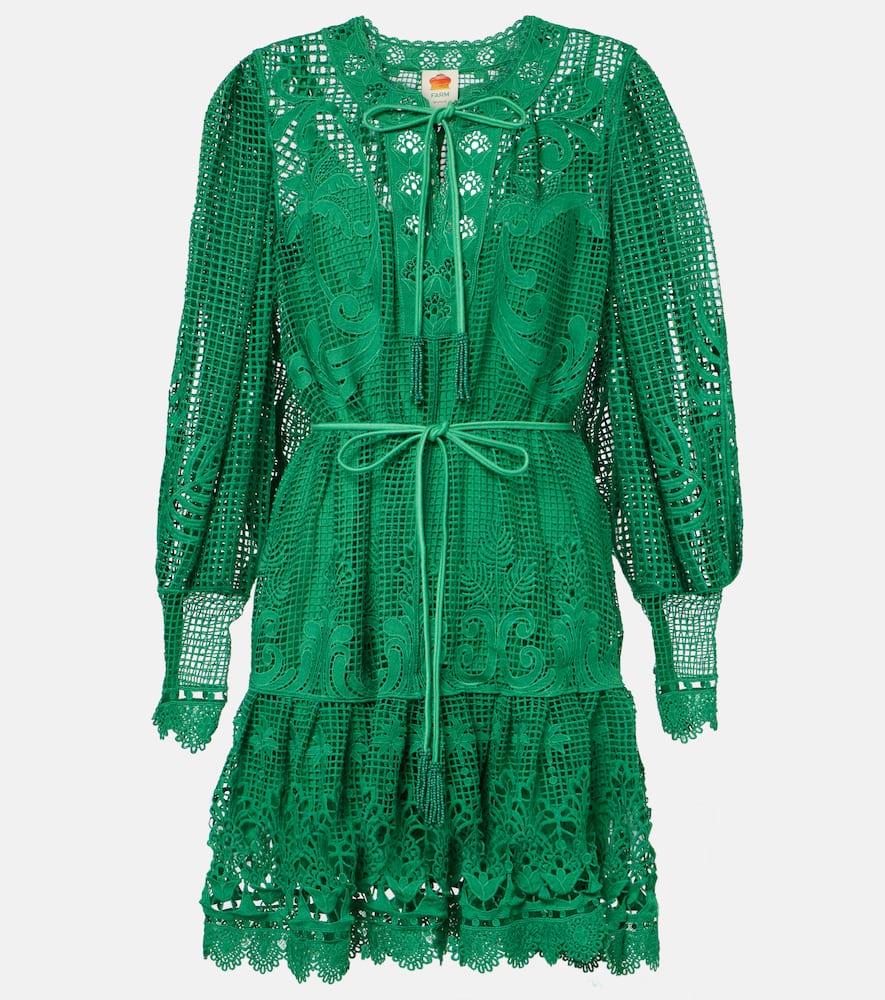 Tropical Flight Green guipure minidress