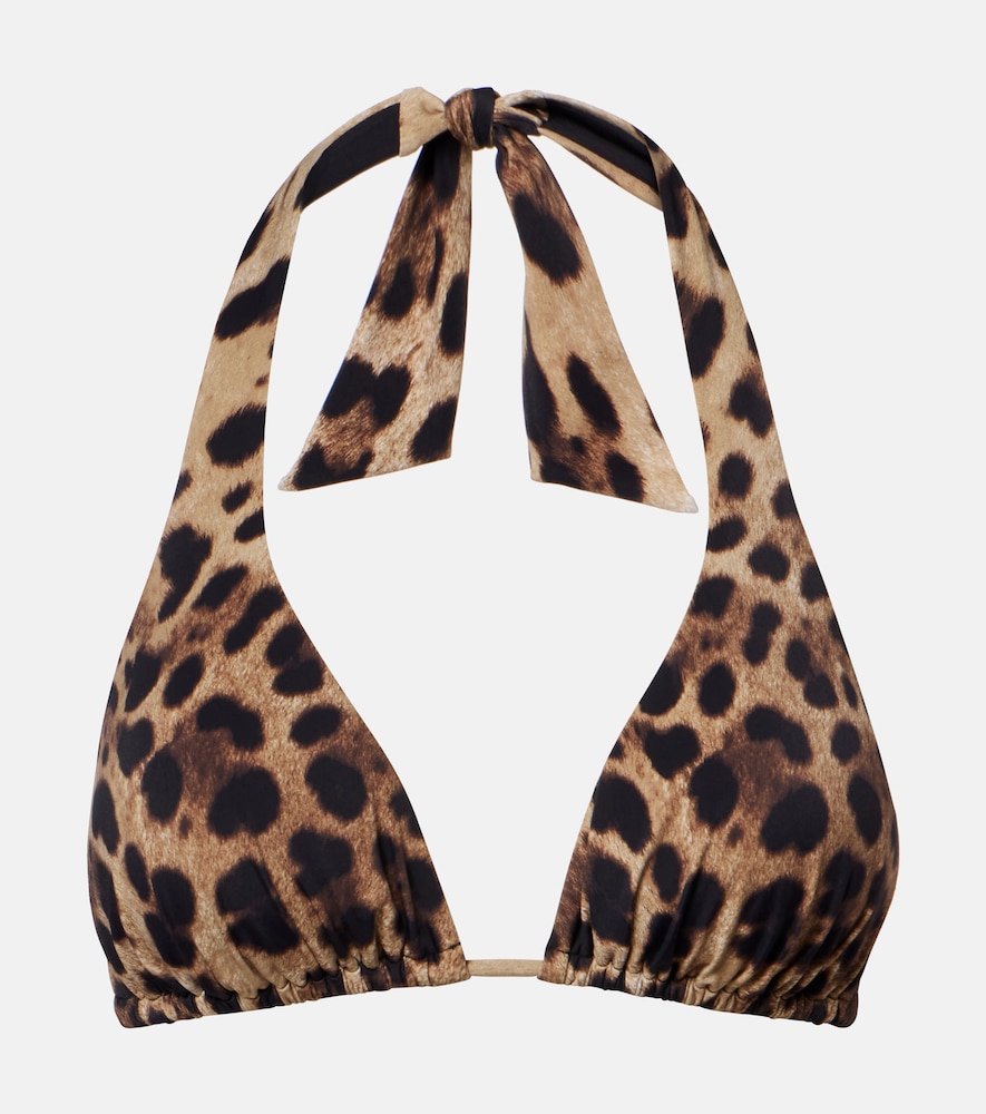 Dolce & Gabbana Leopard-print Triangle Bikini Top In Brown
