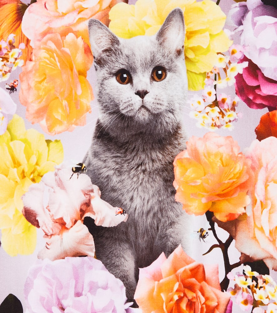 Molo Maxi Printed Cotton Sweatshirt In Rodegarden Cat