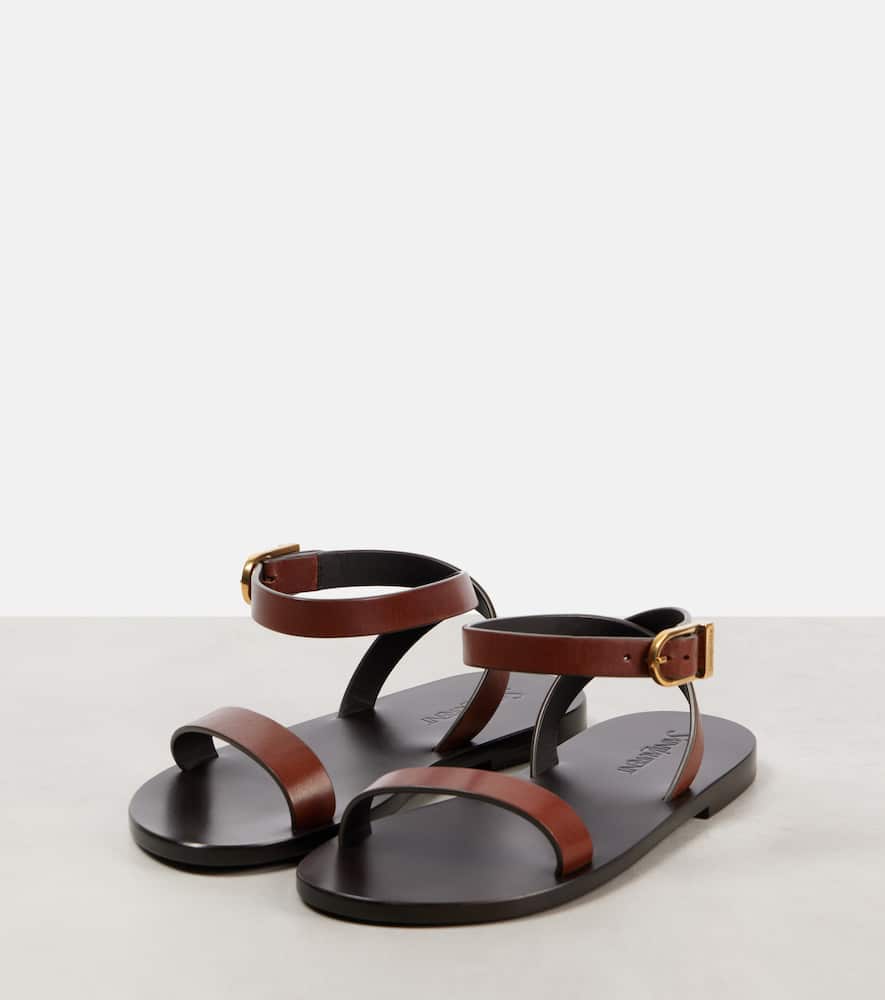 Saint Laurent Hardy Leather Sandals In Brown