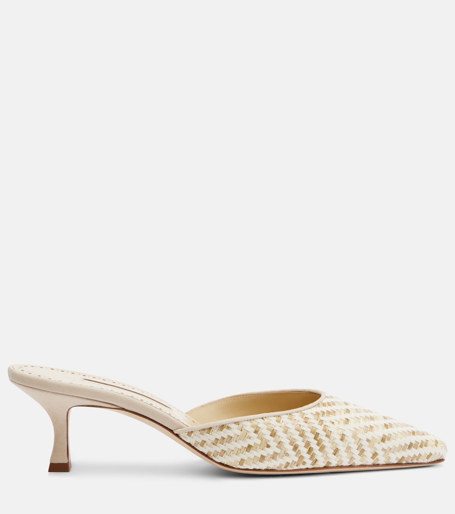 Carolyne Leather-Trimmed Woven Mules