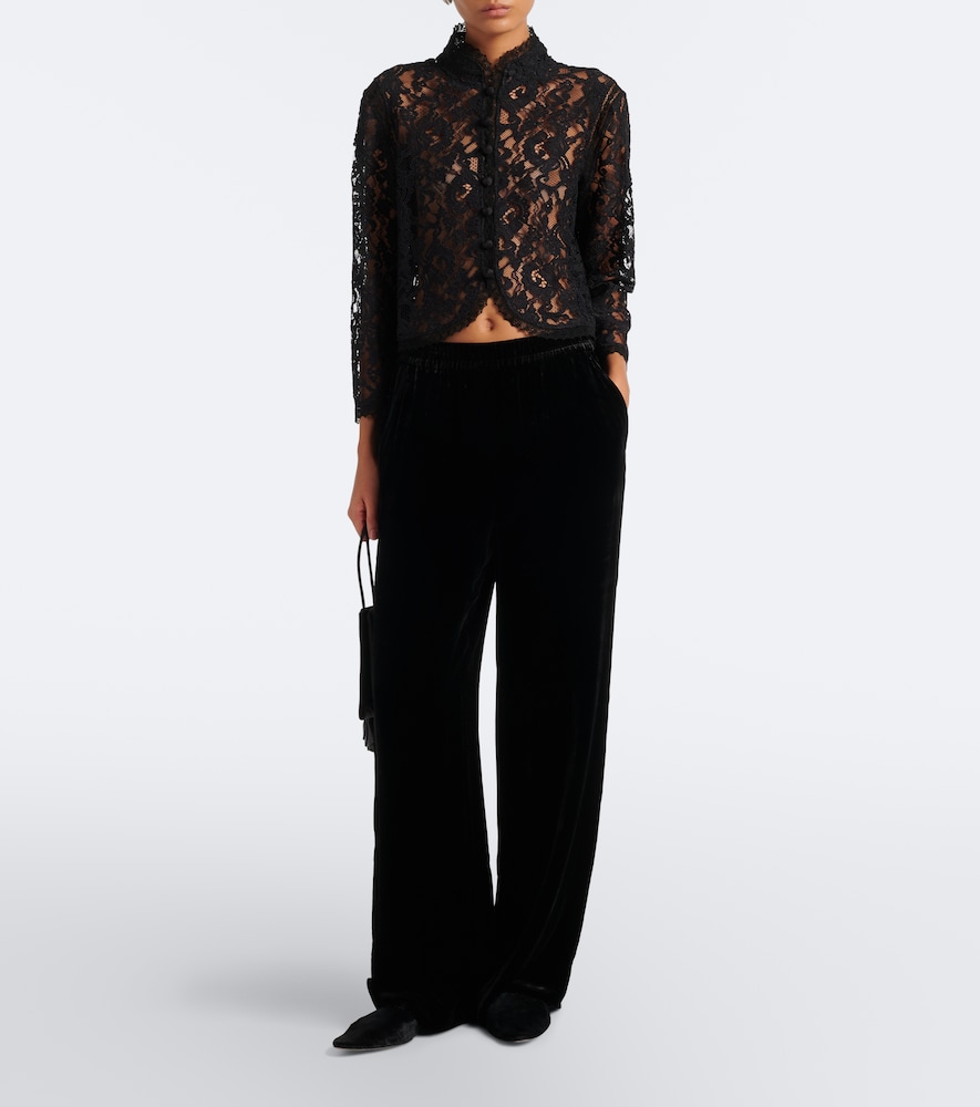 Salon Sheer Lace Top