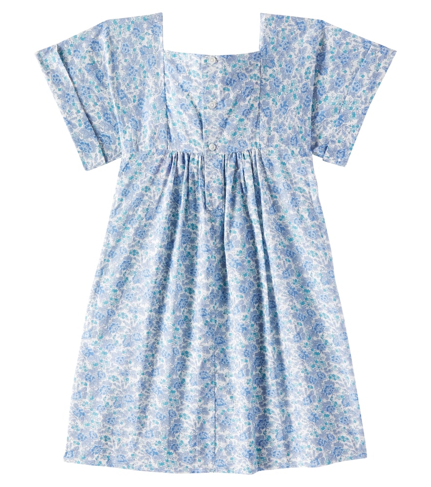 Bonpoint Paysanne Floral Smocked Cotton Dress In Blue
