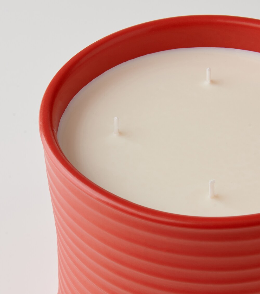 Tomato Leaves Large scented candle, image 3 of 6