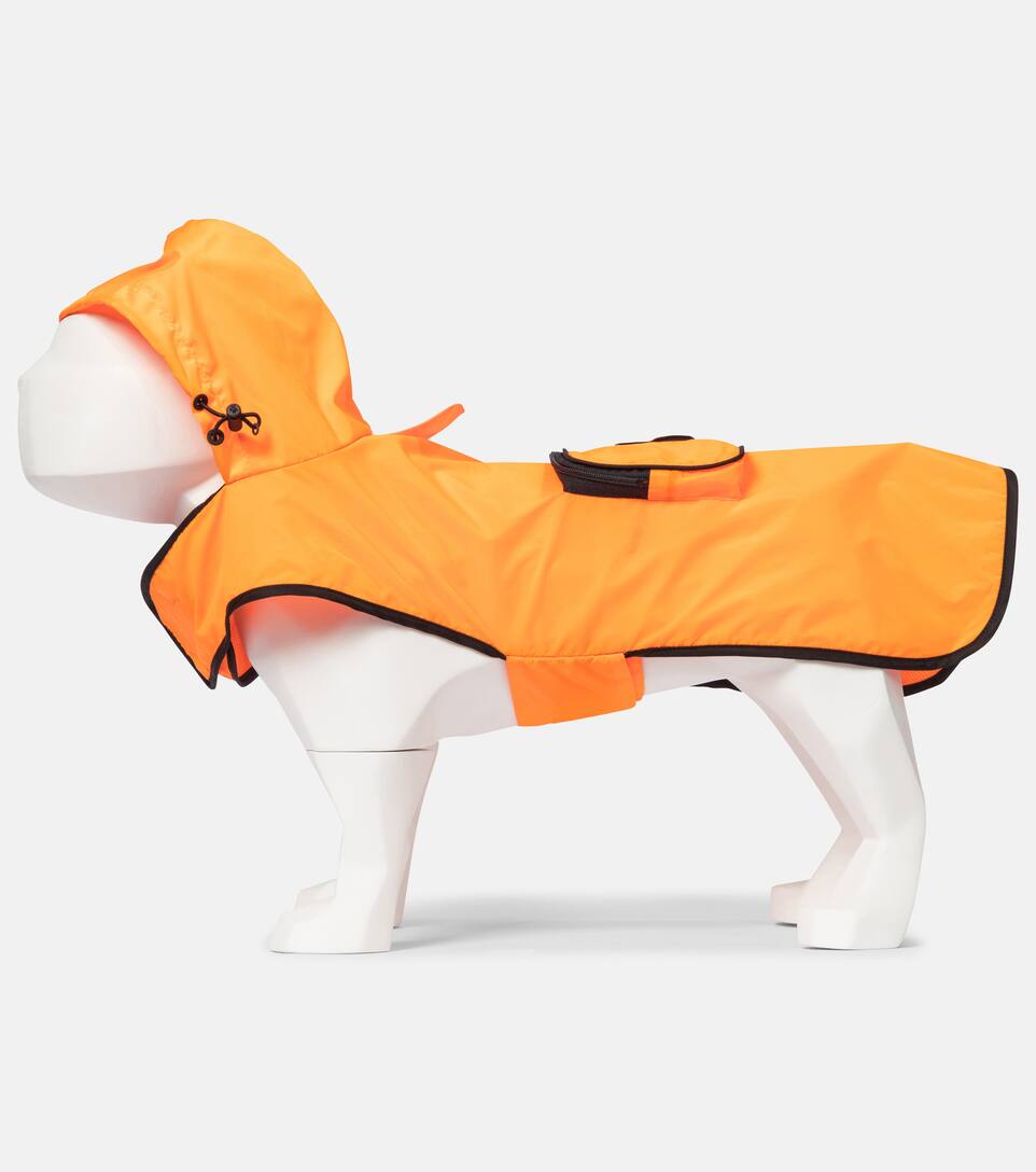 doudoune moncler chien